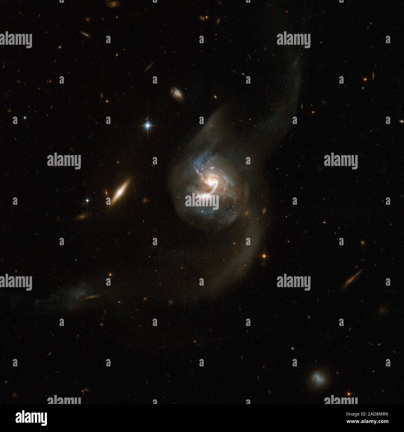 NGC 6090 is a beautiful pair of spiral galaxies with an overlapping central region and two long tidal tails formed from material ripped out of the galaxies by gravitational interaction. The two visible cores are approximately 10,000 light-years apart, suggesting that the two galaxies are at an intermediate stage in the merging process. The Hubble image reveals bright knots of newborn stars in the region where the two galaxies overlap. The right hand component has a clear spiral structure if viewed face-on, while the other is seen edge-on with no spiral arms visible. NGC 6090 is located in the Stock Photo