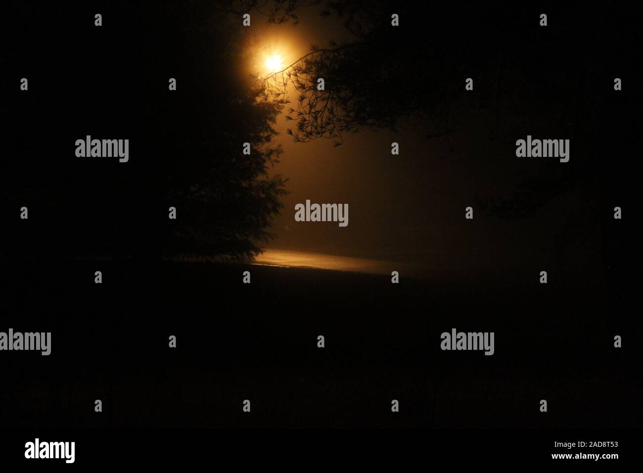 Street lamp behind a tree hi-res stock photography and images - Alamy