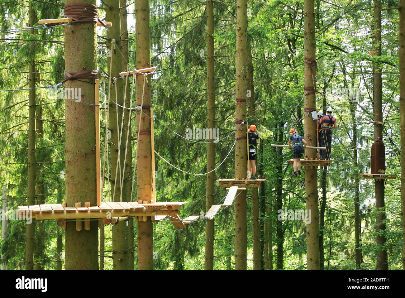 Climbing forest and high ropes course Stock Photo Alamy