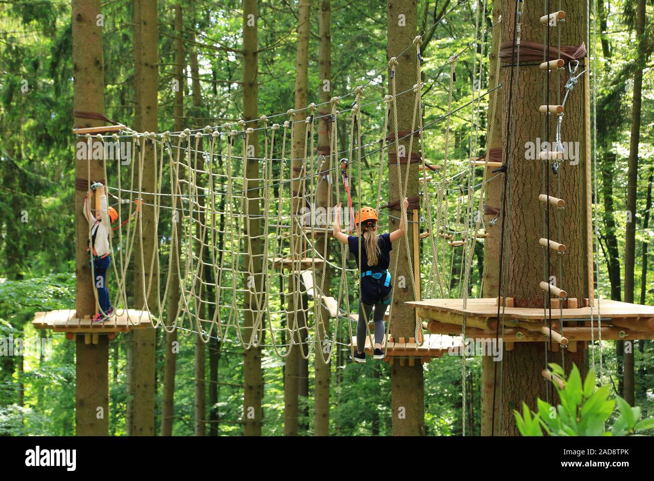 Climbing forest and high ropes course Stock Photo Alamy