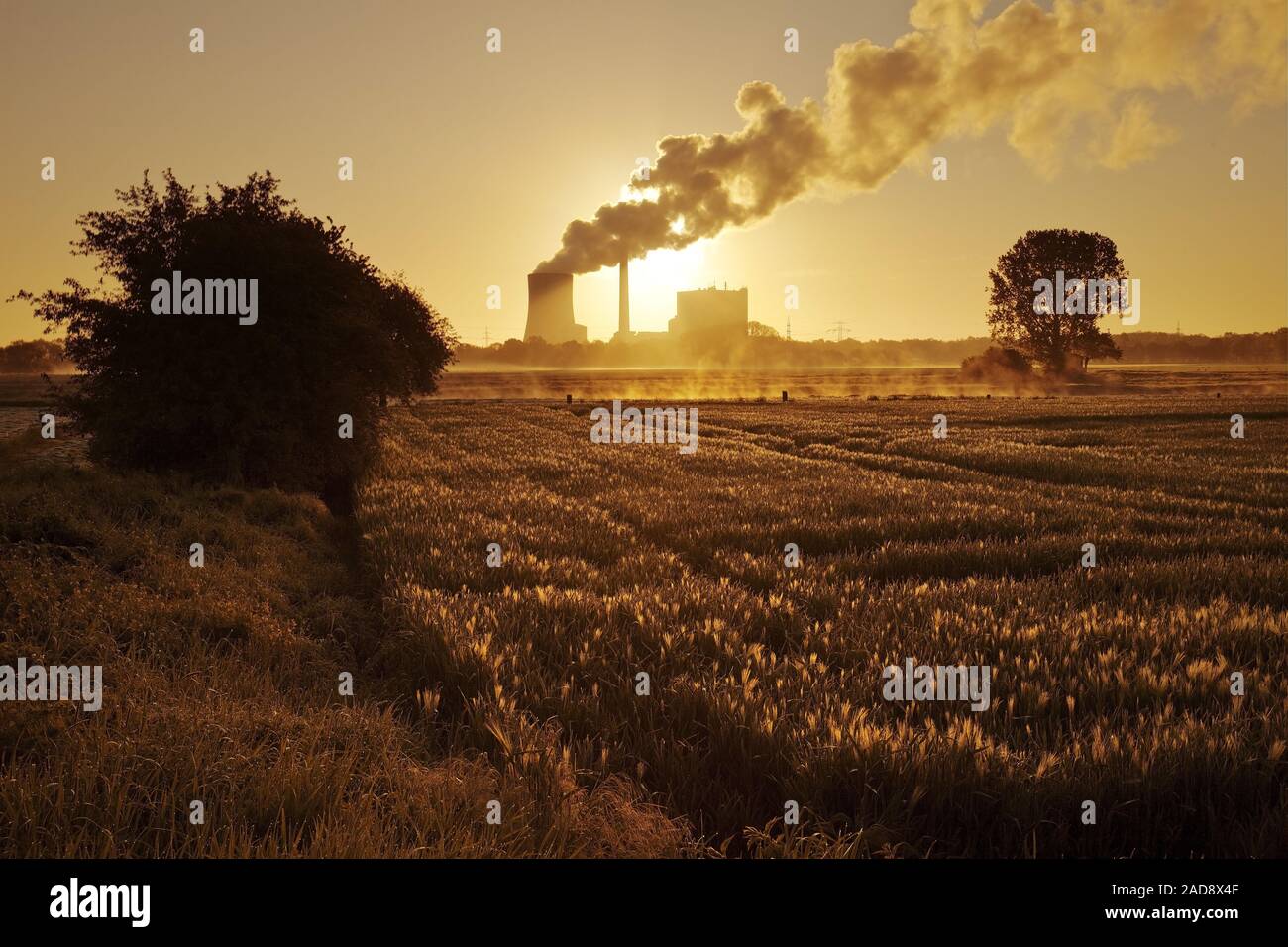hard coal-fired power station Heyden, global warming, coal phase-out, Petershagen, Germany Europe Stock Photo
