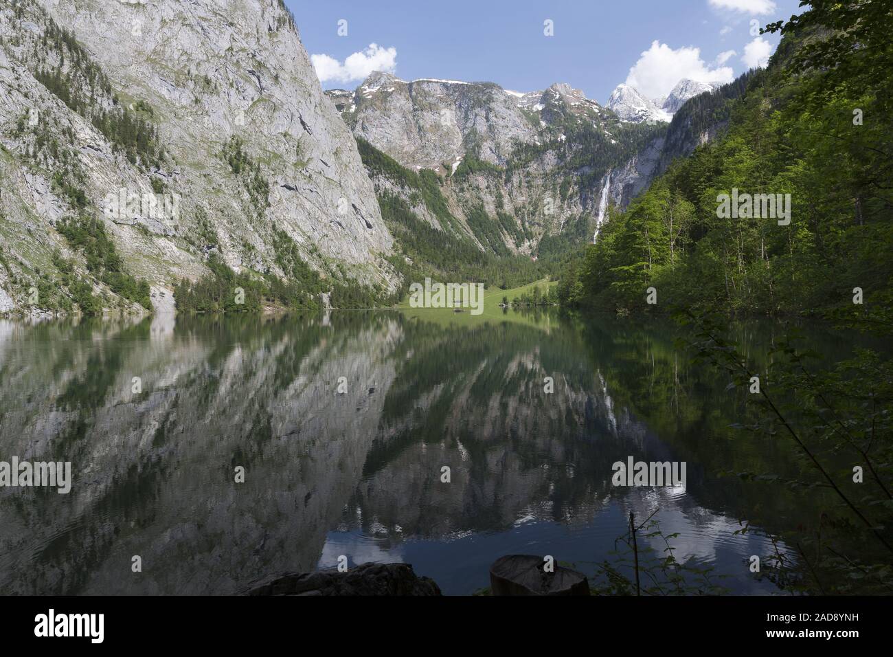 Obersee in Bavaria, Germany, in summer Stock Photo