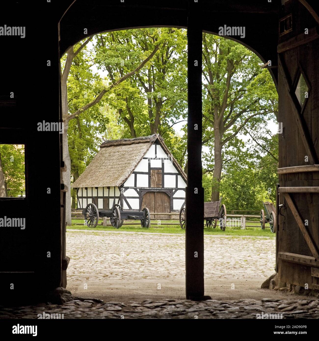 My Image 27