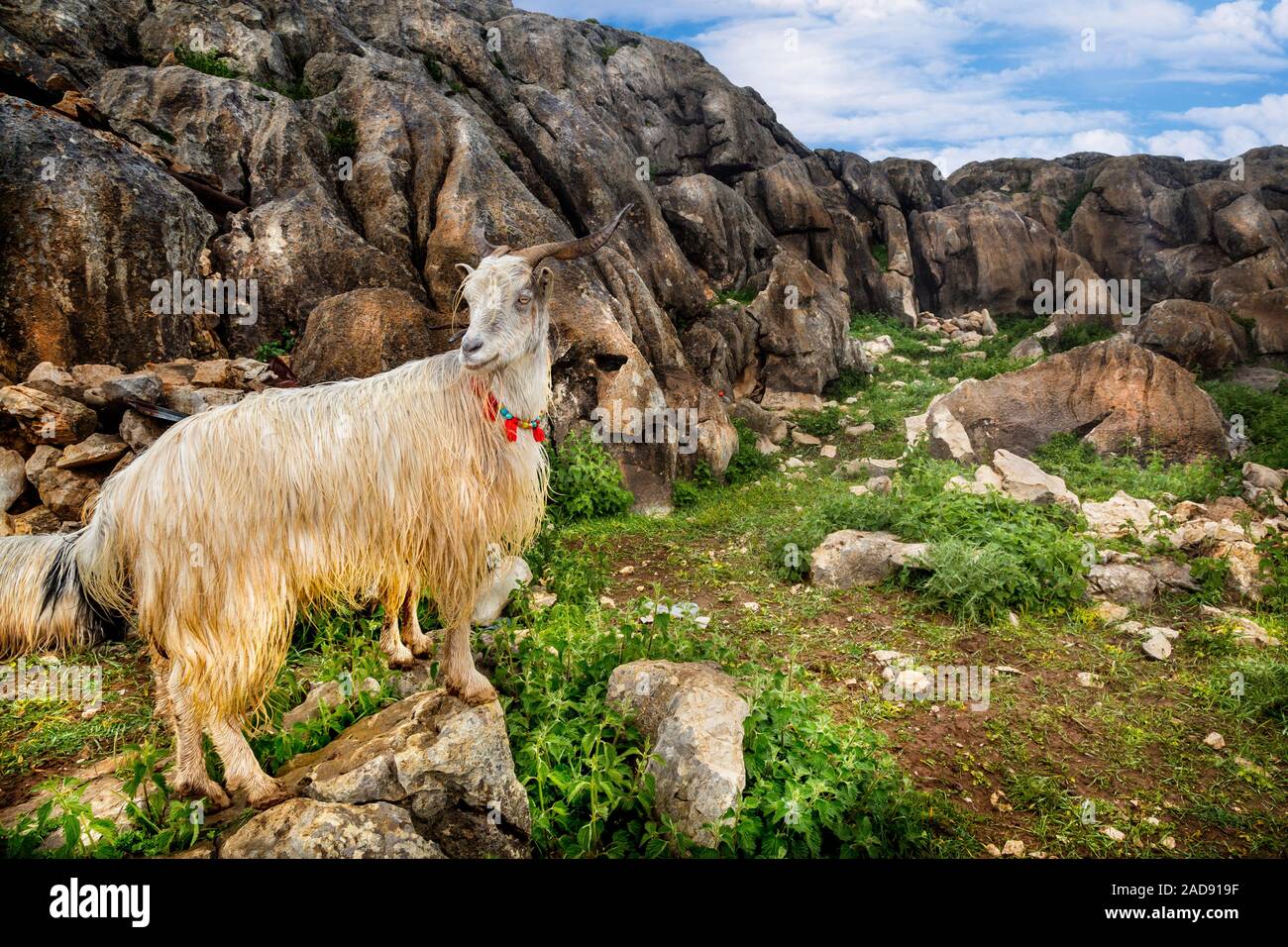 Autumn in Dorfak Stock Photo - Alamy