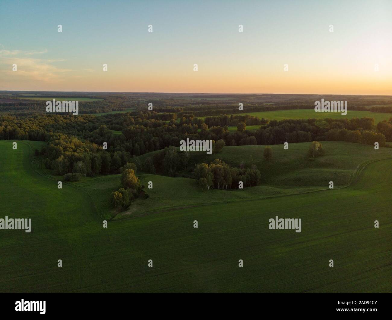 Top aerial view of green fields and meadows Stock Photo - Alamy