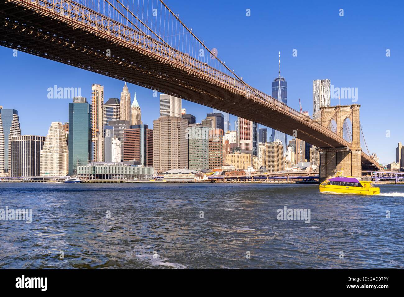 Brooklyn News 12