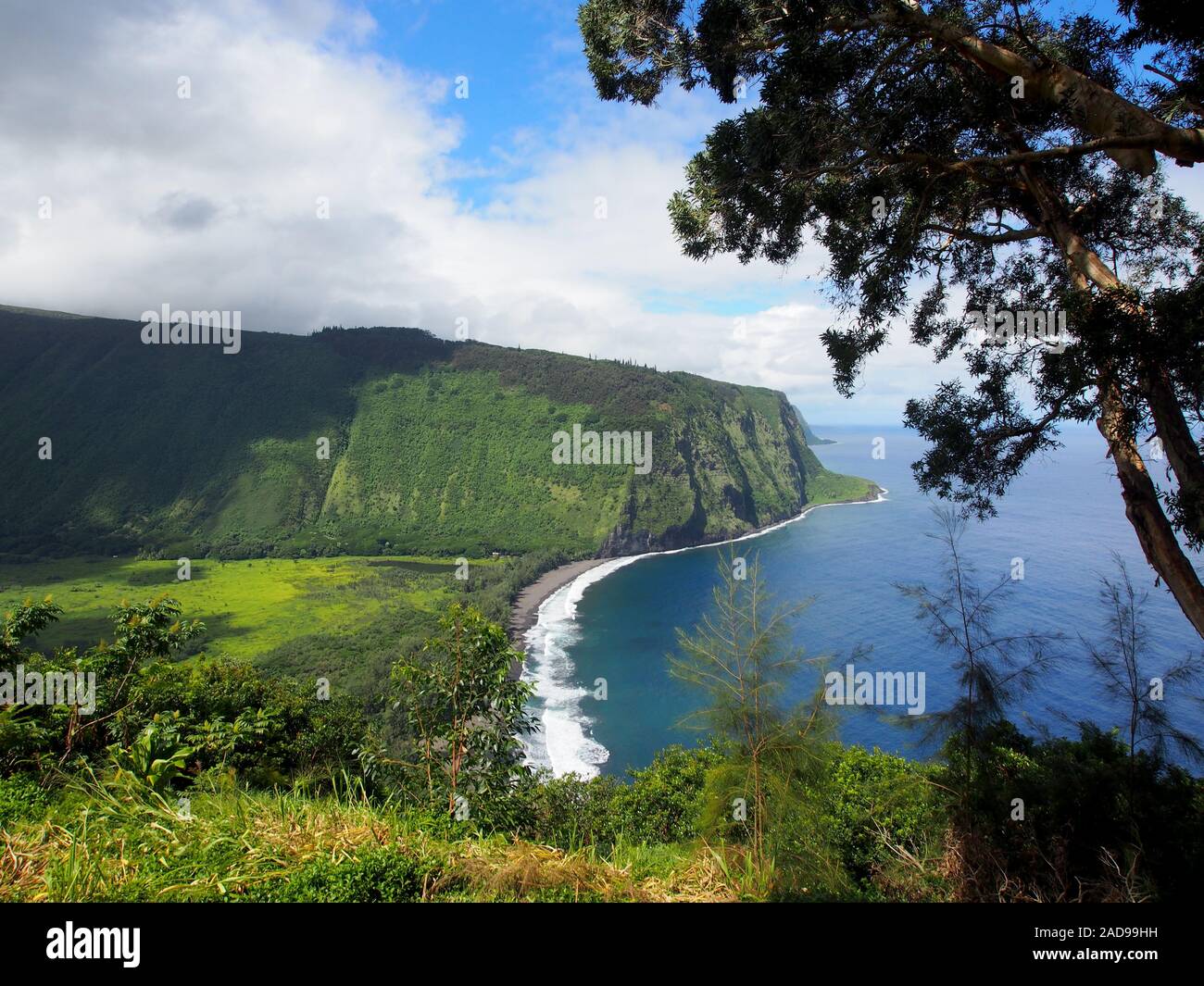 Waipiʻo Valley Lookout view during the day. Located on the northern