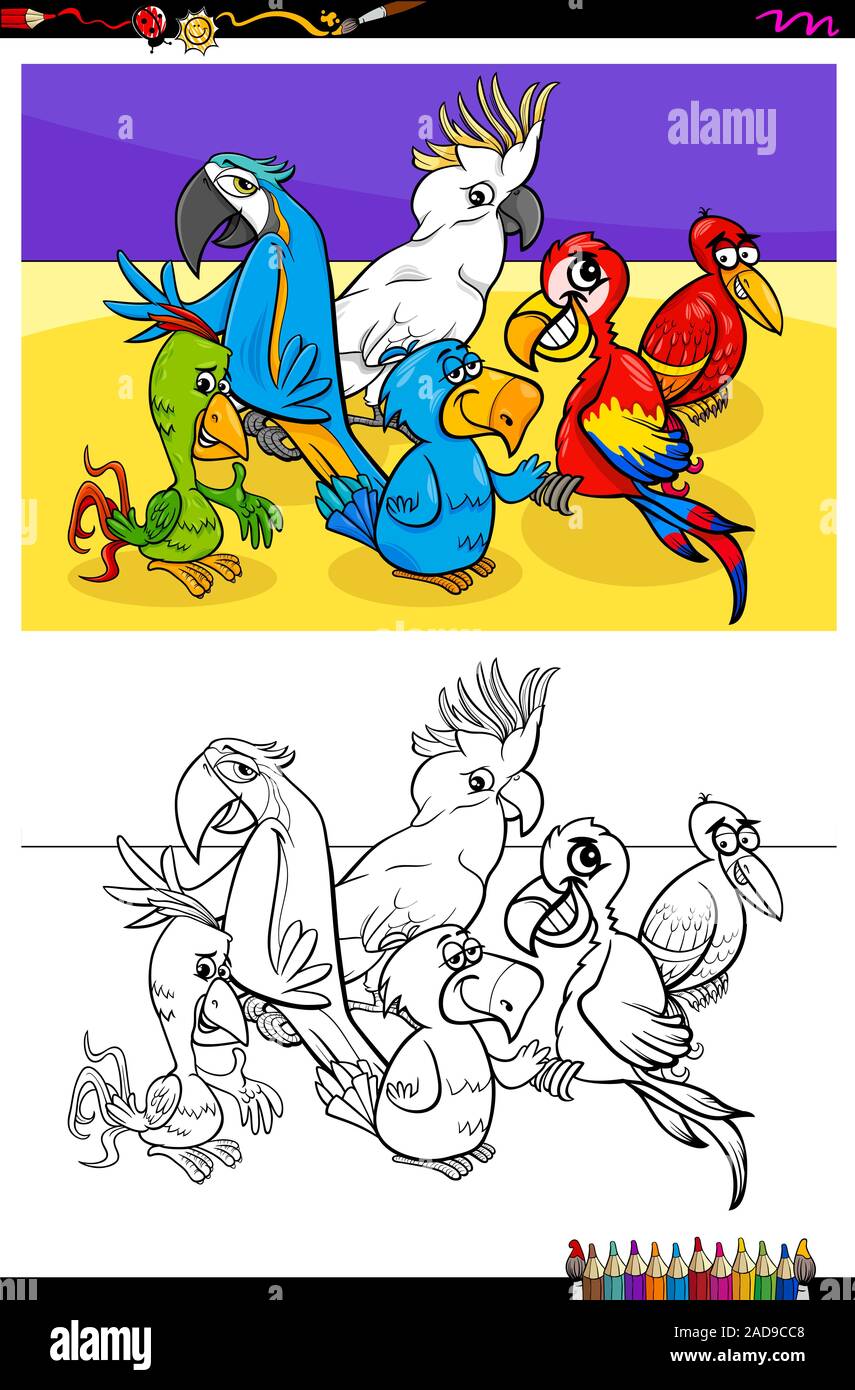 parrots animal characters group color book Stock Photo - Alamy