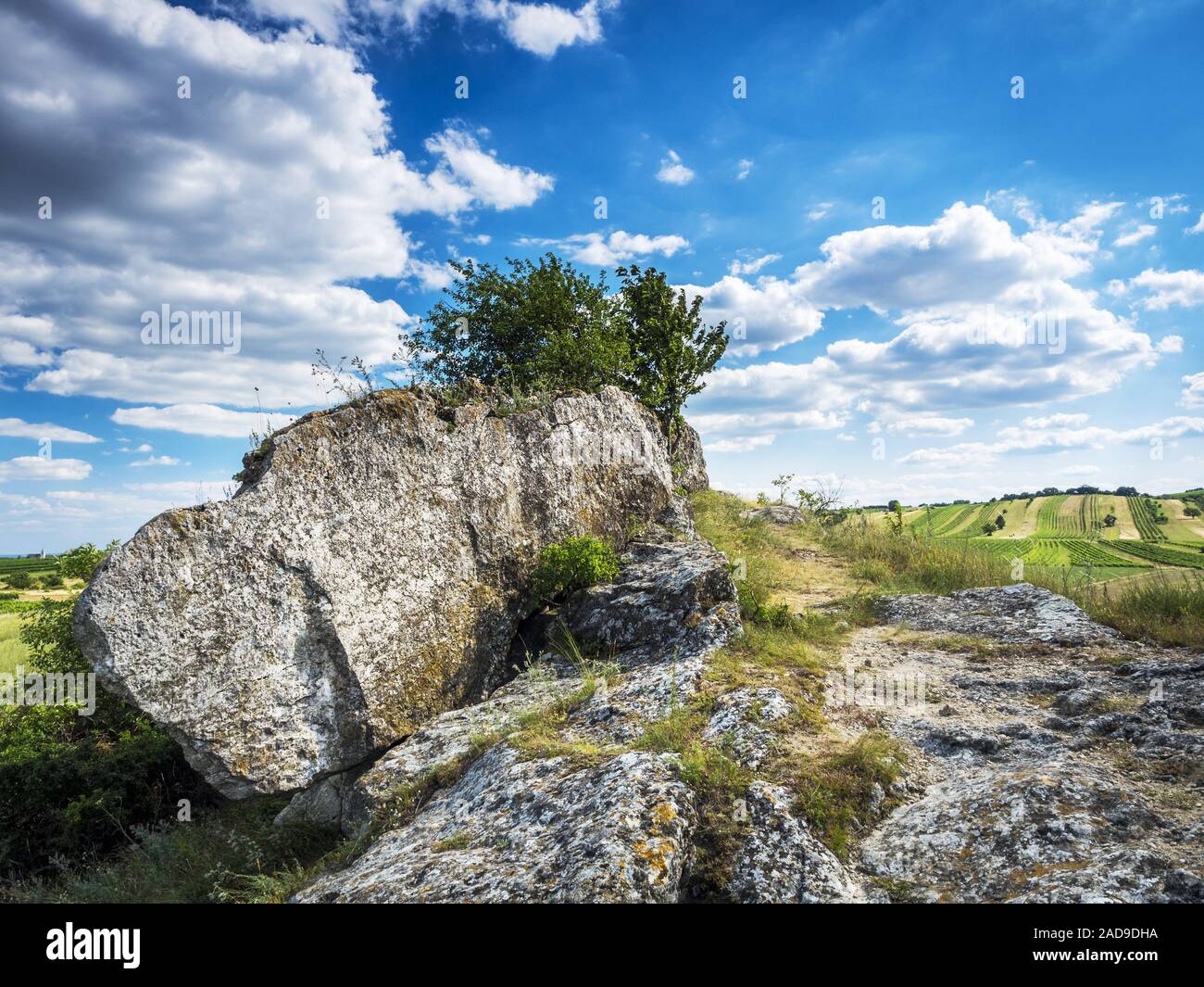 giant boulder with cherrytree in Burgenland Austria Stock Photo
