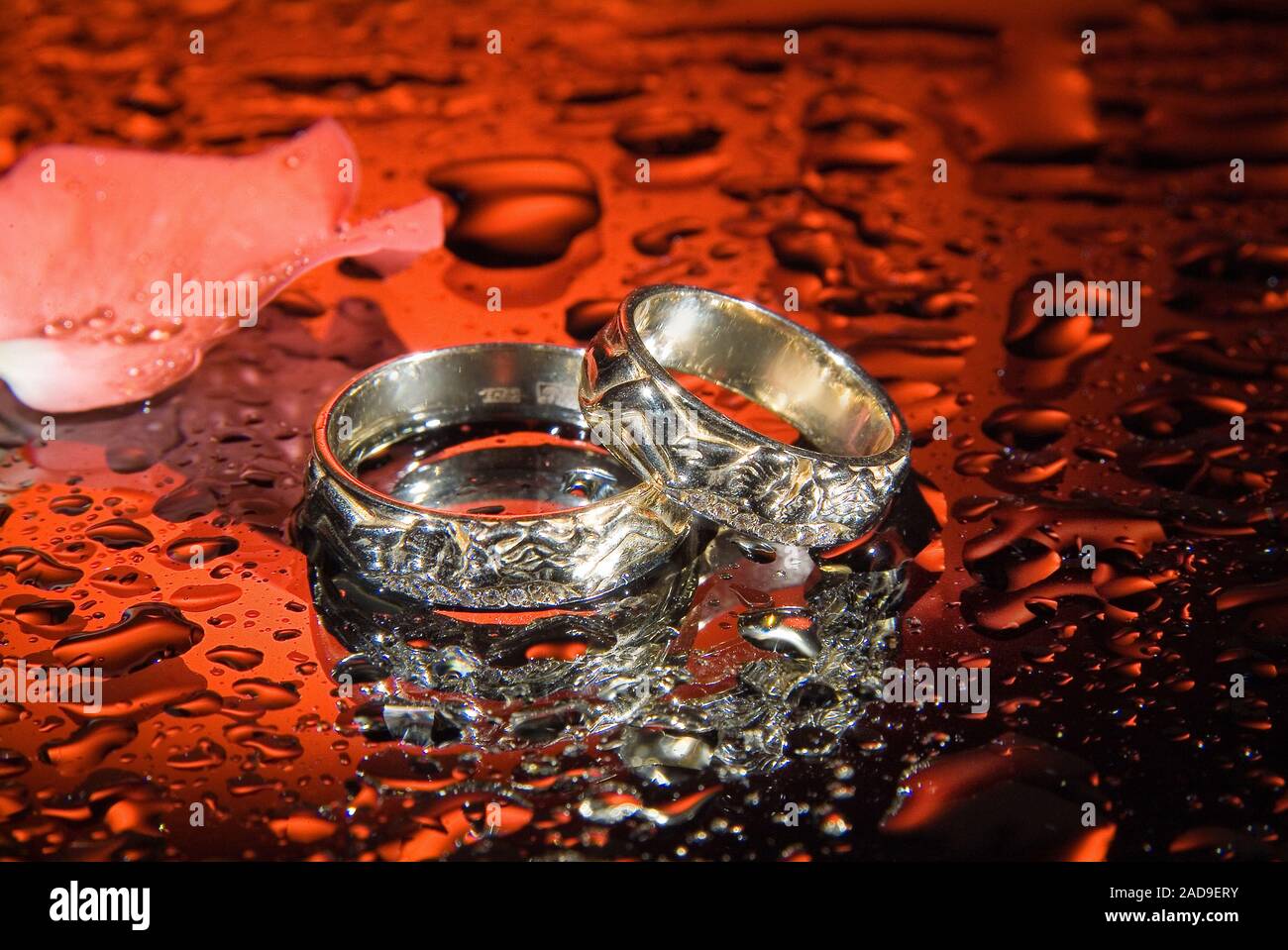 Gold wedding rings with shadow hires stock photography and images Alamy