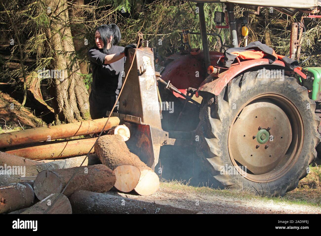 tree felling operations Stock Photo - Alamy