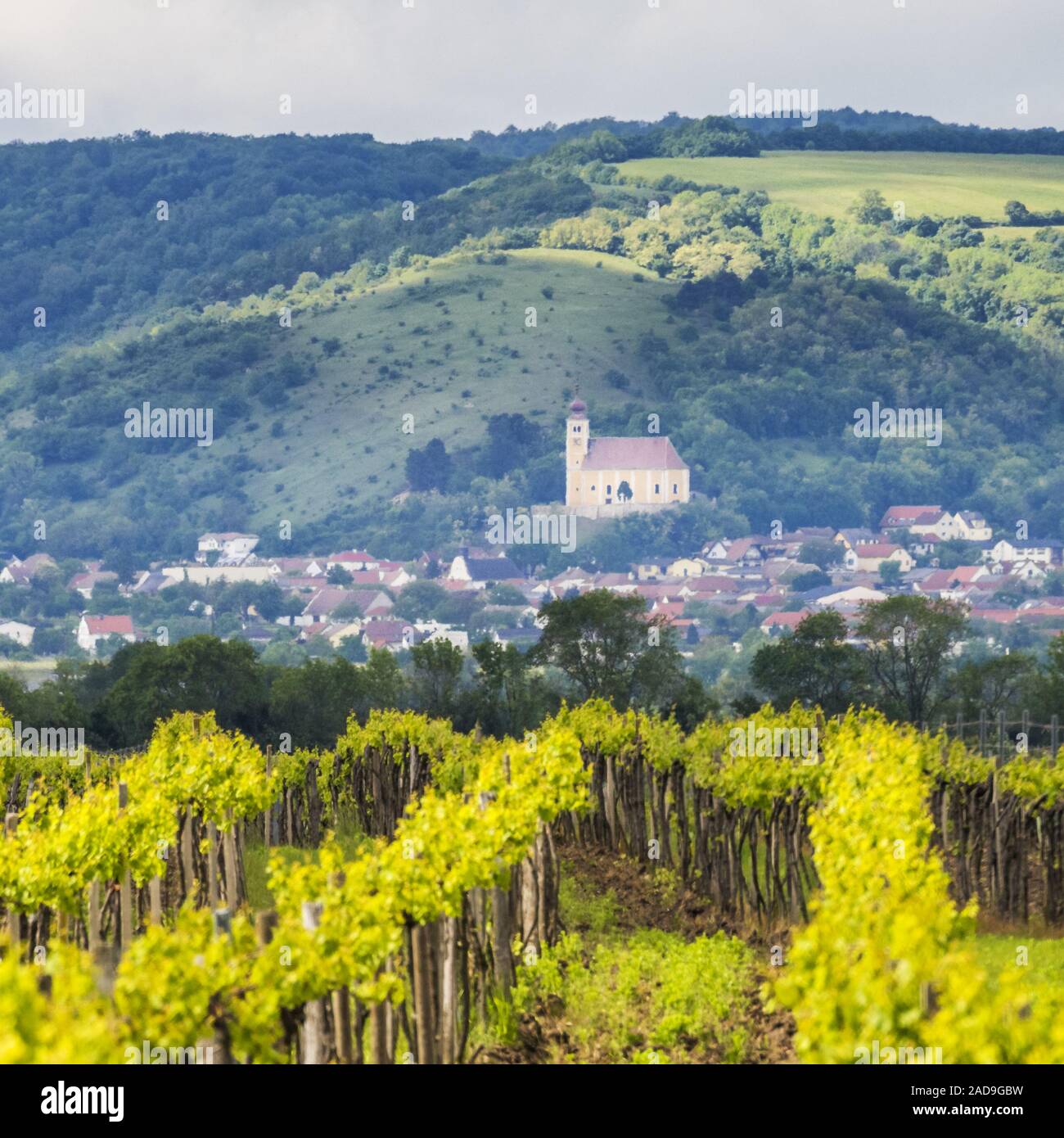 Village Donnerskirchen with Leithagebirge and Vineyards Stock Photo