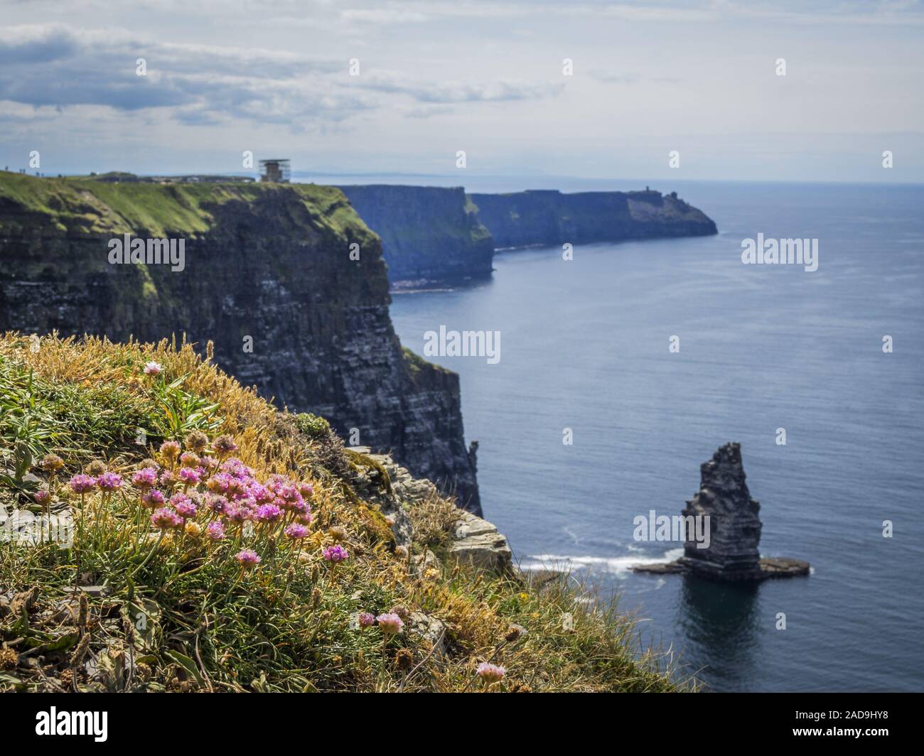 Clifs of Moher in Ireland Stock Photo