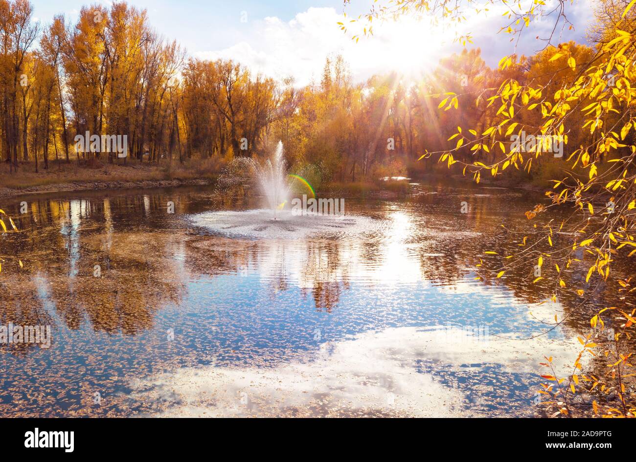 Farm design inspiration hi-res stock photography and images - Alamy