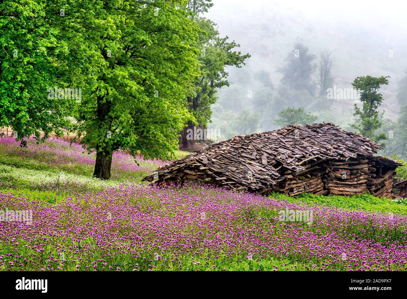 Autumn in Dorfak Stock Photo - Alamy