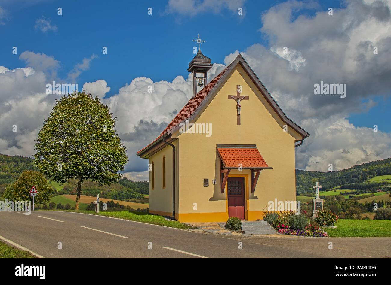 Bilder futzen Behaarte Fotzen