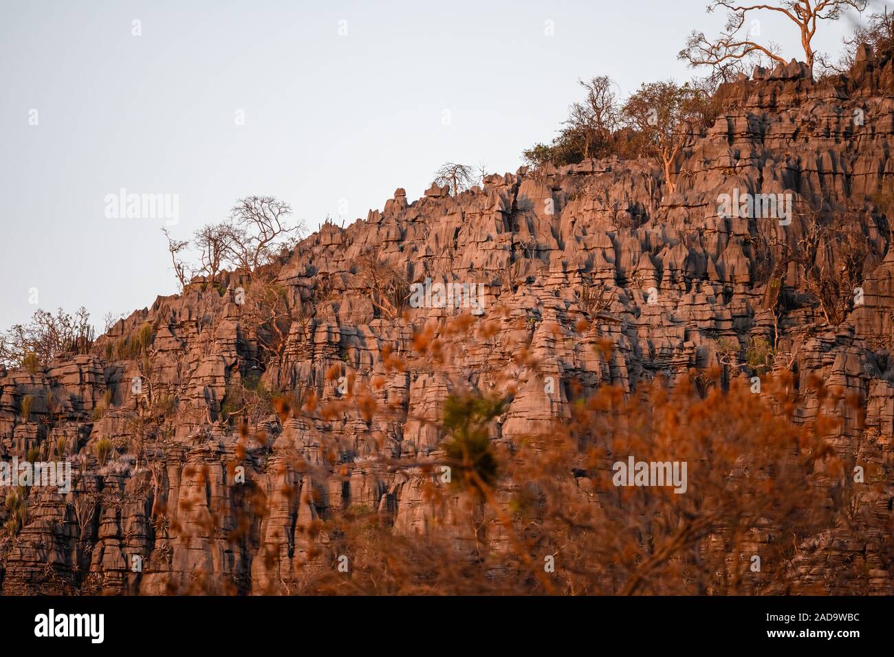 Limestone formation at the Parque Nacional Cavernas do Peruacu. Minas Gerais, Brazil, South America. Stock Photo