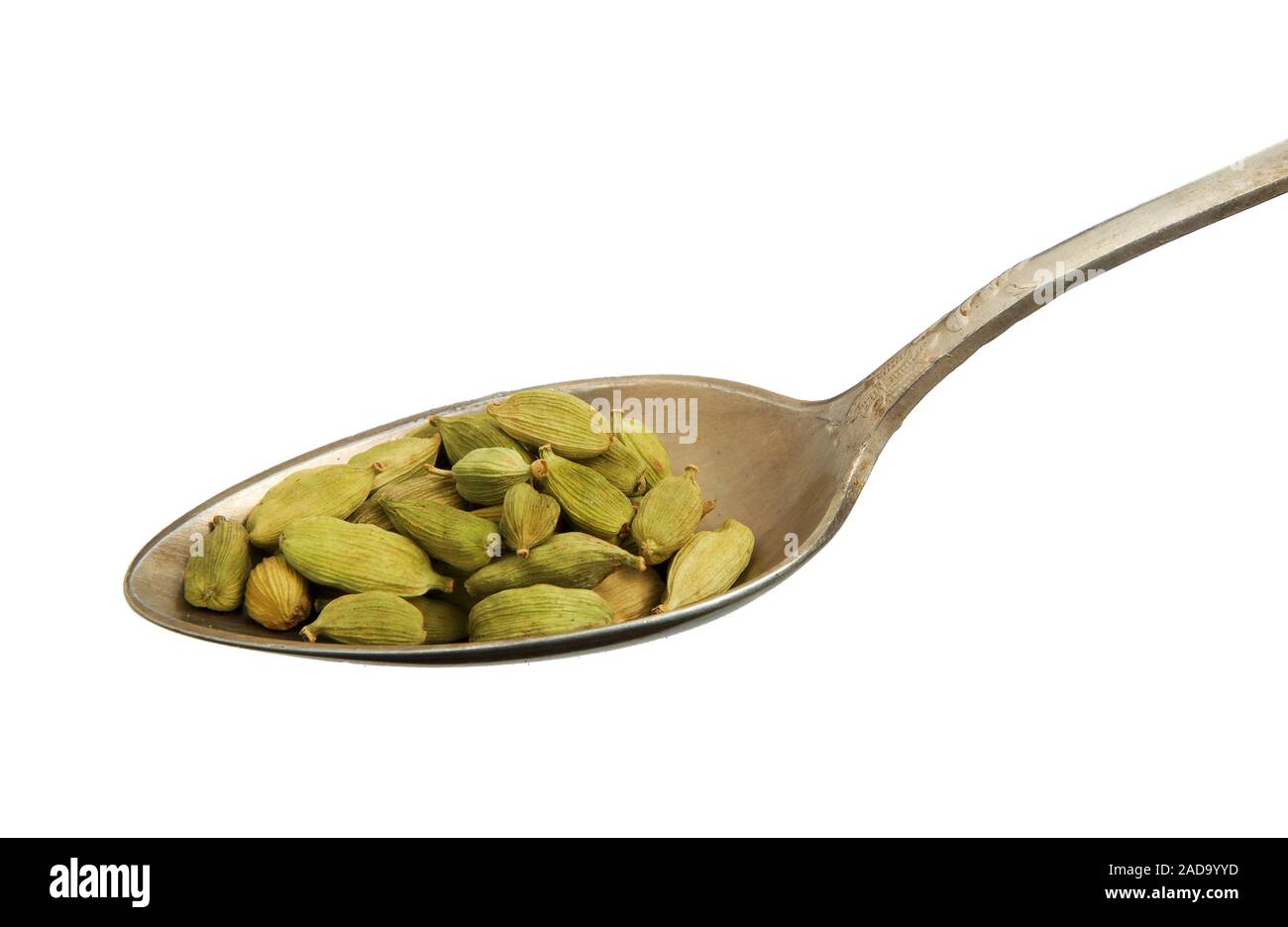 Dry fennel seeds in a spoon isolated on a white background. Seasoning