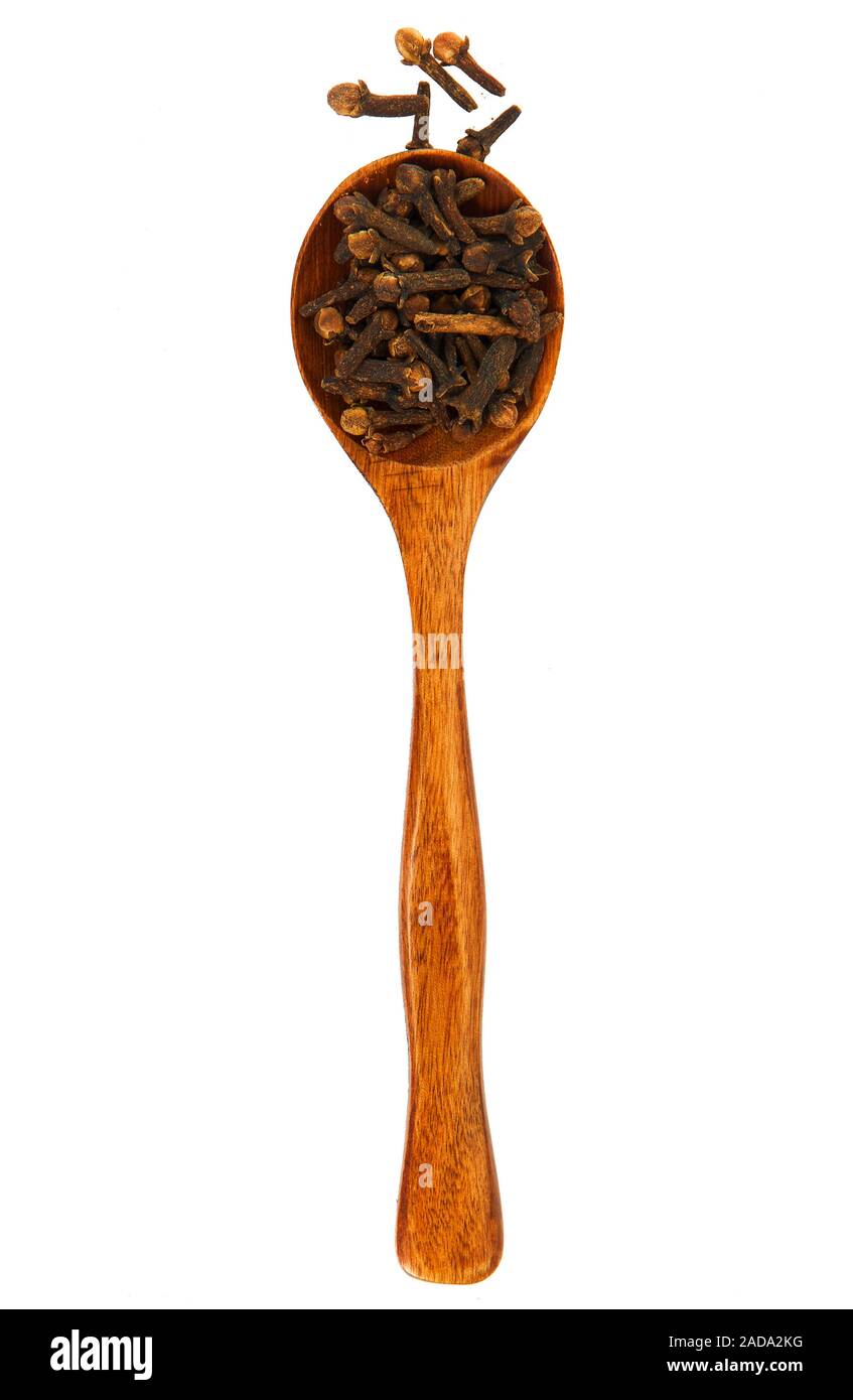 Carnation in a wooden spoon on isolate. View from above. Seasoning in a wooden spoon. Spices on isolate. Stock Photo
