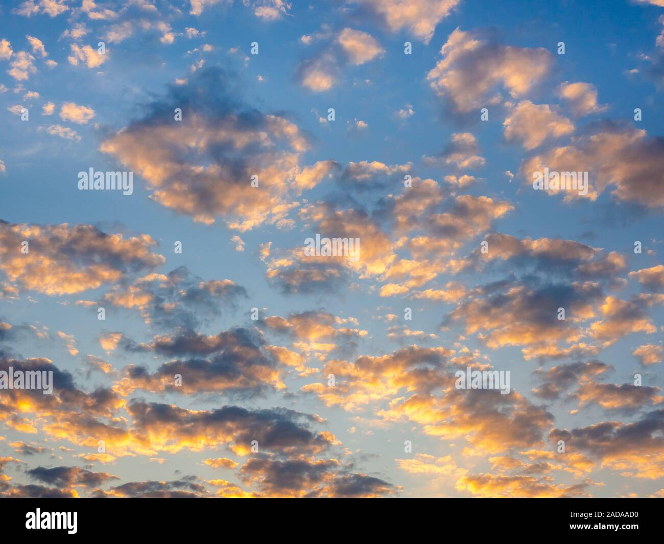 Beautiful golden clouds on sunset sky background. Blue sky background with golden light from sunlight shining on the clouds. Stock Photo