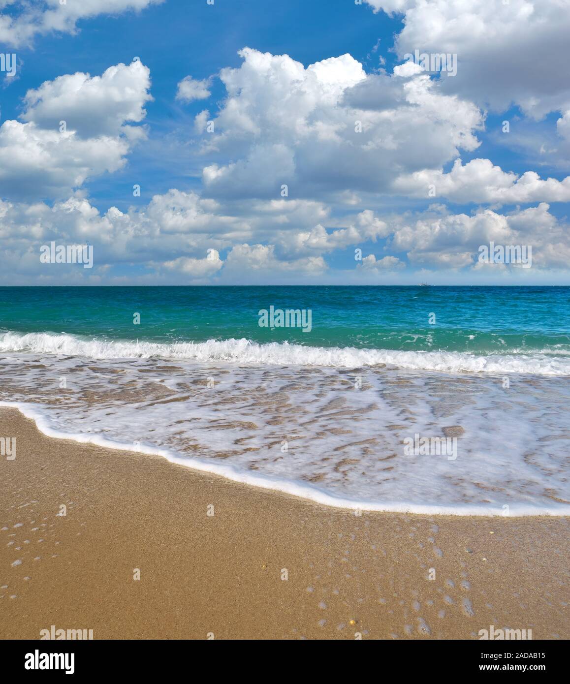 Summer on the sea beach. Element of design Stock Photo - Alamy