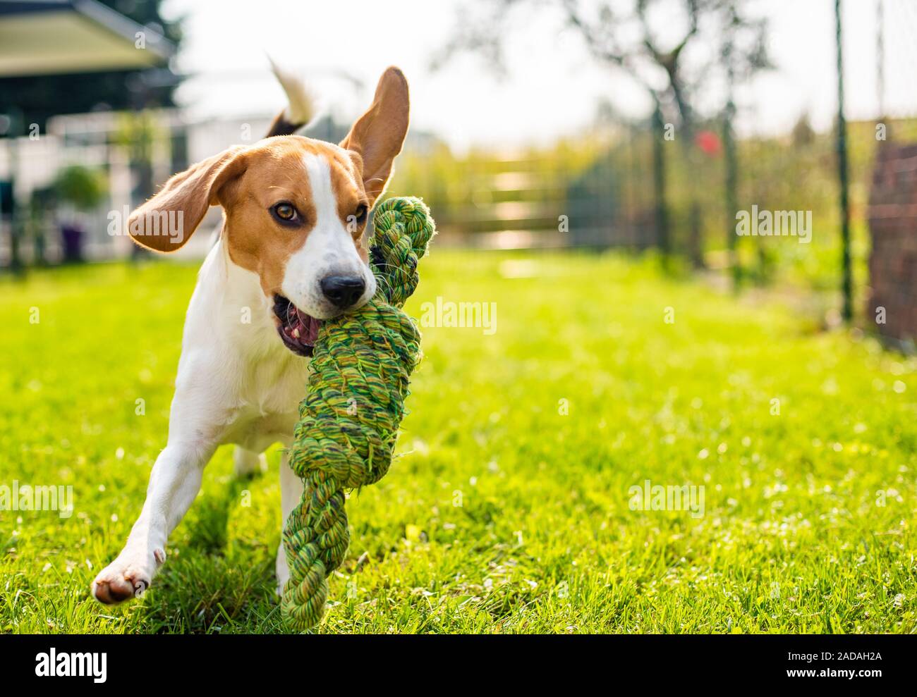 Rope jump hi-res stock photography and images - Alamy