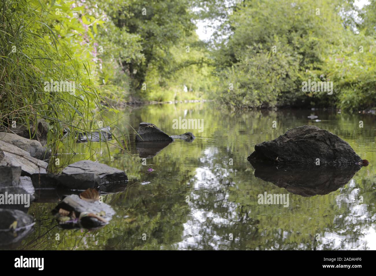 Natural stream barriers Stock Photo Alamy