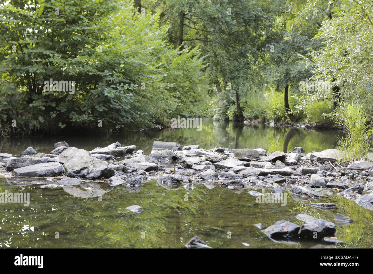 Natural stream barriers Stock Photo Alamy