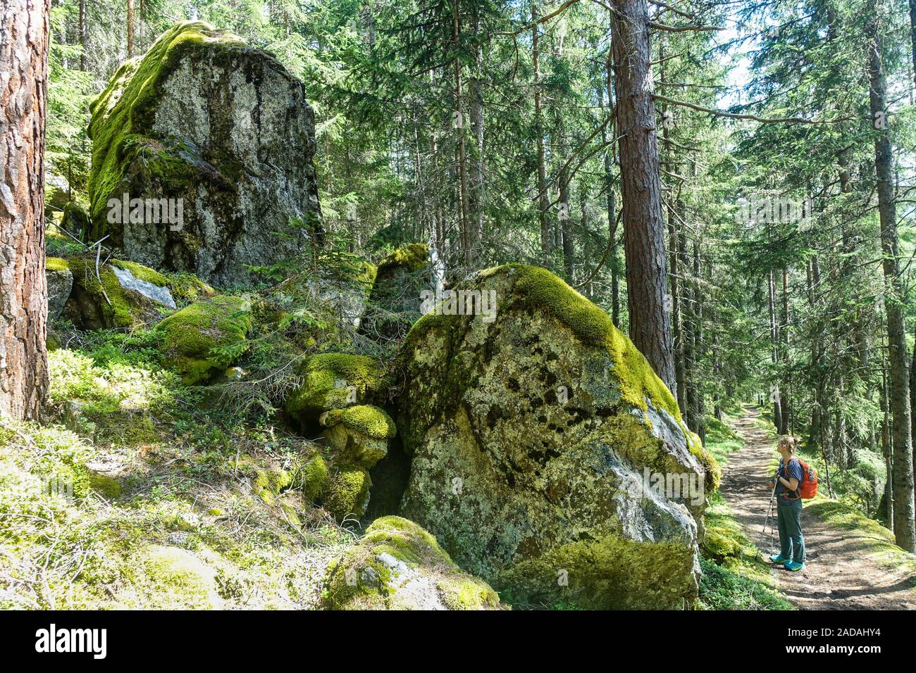 Huge rocks in the landslide area near Wiklen Ötztaler Alps, Austria ...