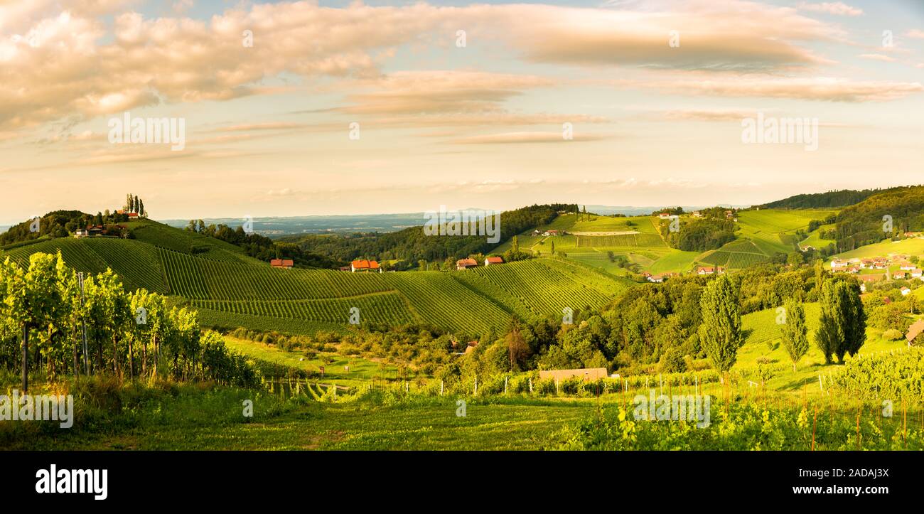 Grape hills and mountains view from wine street in Styria, Austria ( Sulztal Weinstrasse ) in summer. Stock Photo