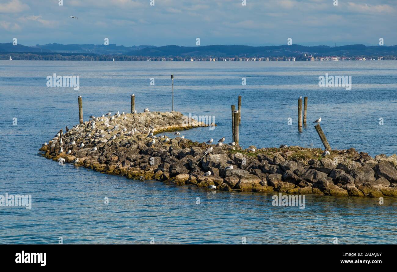 Stone island hi-res stock photography and images - Alamy