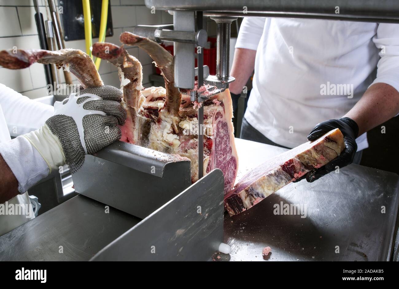 Raw dry aged wagyu porterhouse steak during cut up as closeup at the bench band saw Stock Photo