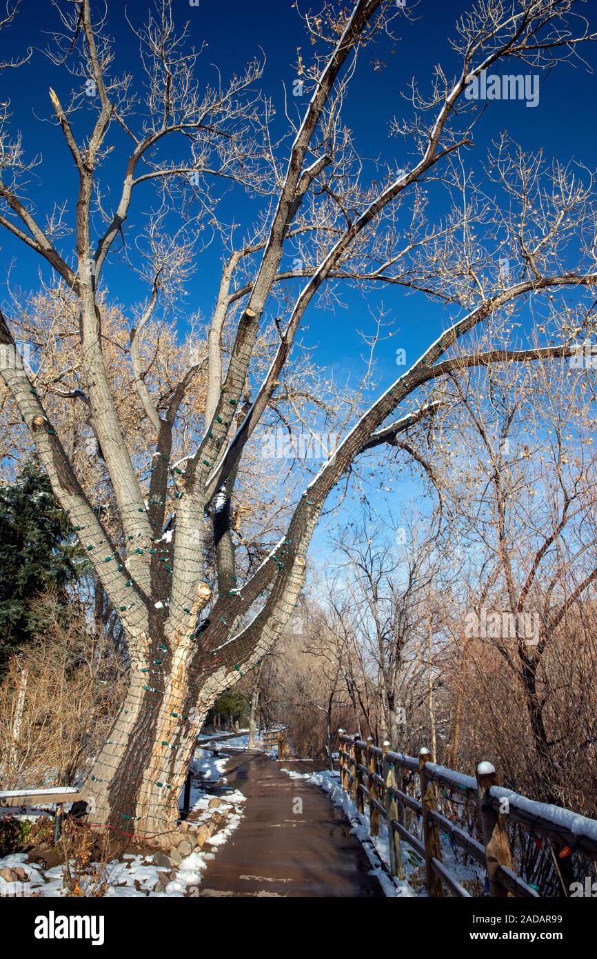 Tree-lined path of Clear Creek Trail - Golden, Colorado, USA Stock Photo