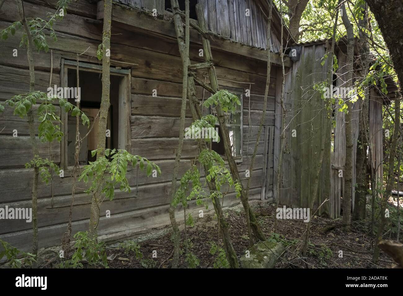 Abandoned residential building in the radioactive Chernobyl exclusion ...