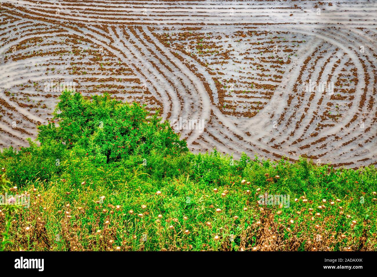Autumn in Dorfak Stock Photo - Alamy