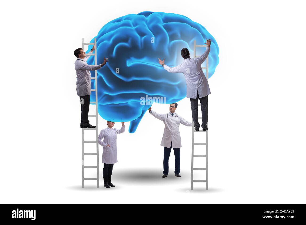 Team of doctors examining human brain Stock Photo