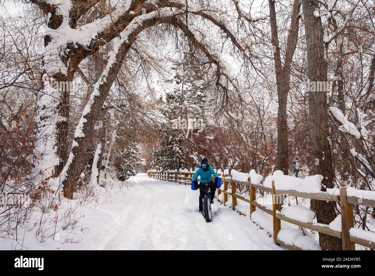 Cyclist on snow-covered Clear Creek Trail - Golden, Colorado, USA Stock Photo