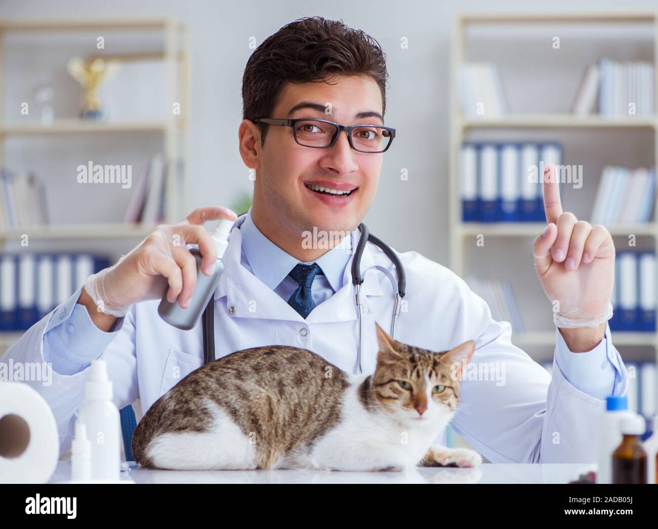 Cat visiting vet for regular checkup Stock Photo Alamy