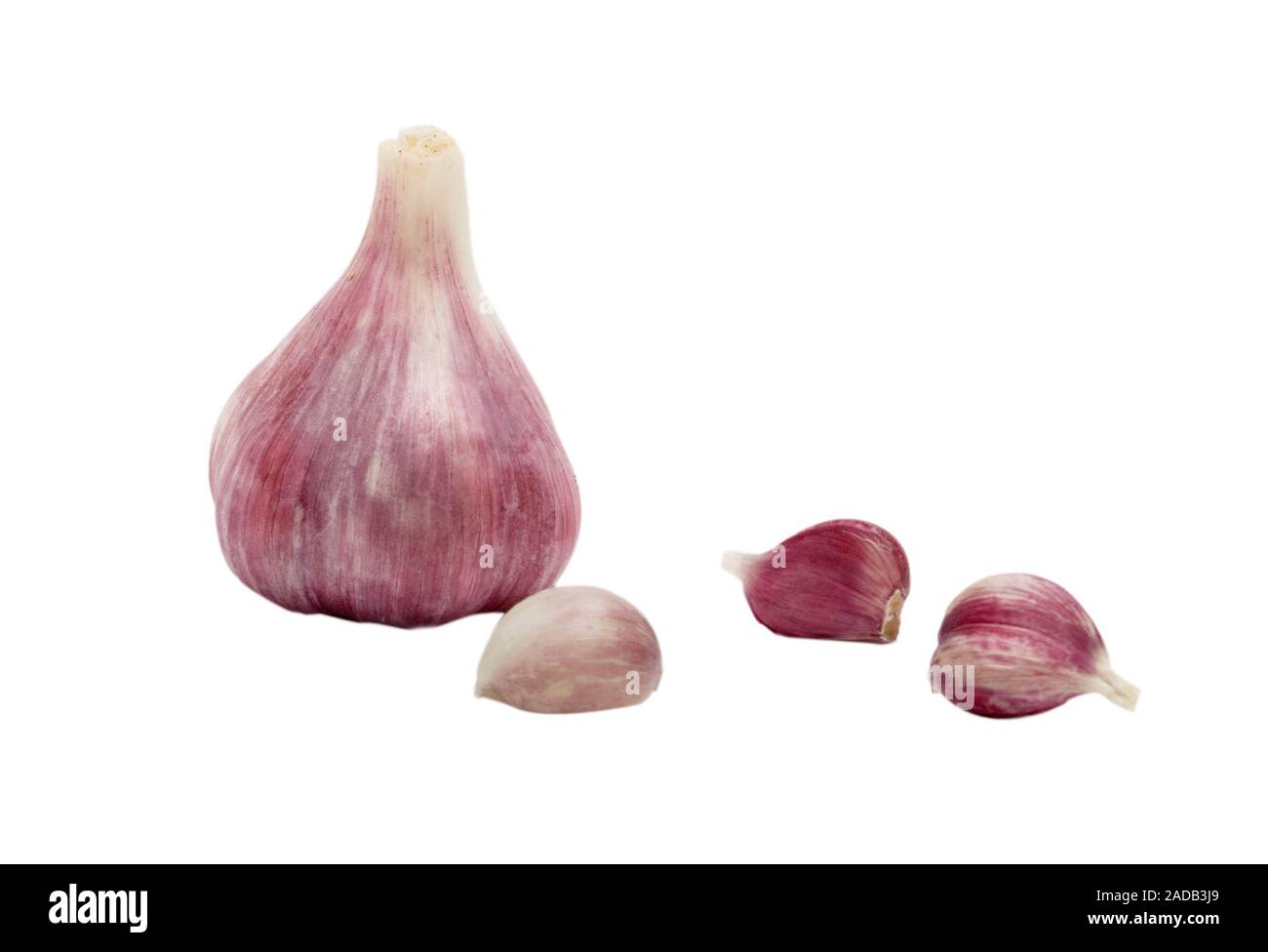 Garlic bulbs and cloves isolated on whie background Stock Photo - Alamy