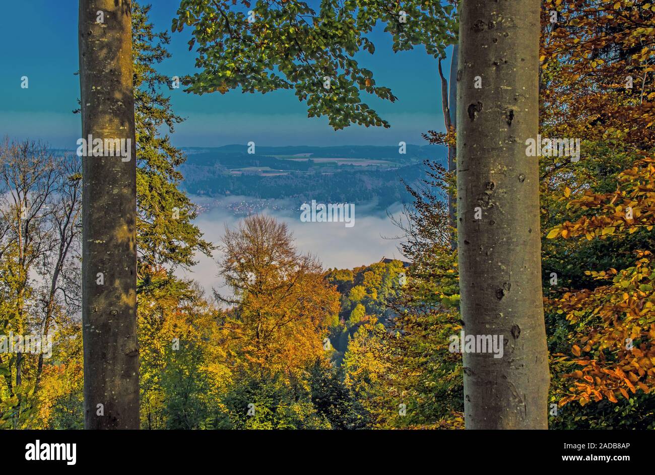Autumn on peninsula Bodanrück at the Lake Constance Stock Photo