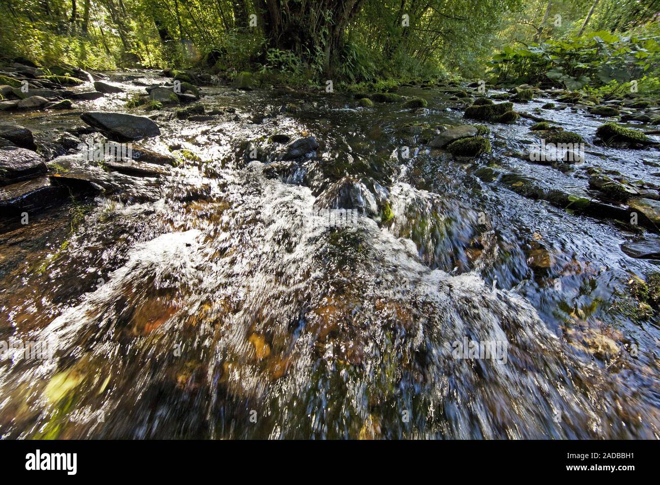 Neger High Resolution Stock Photography And Images Alamy