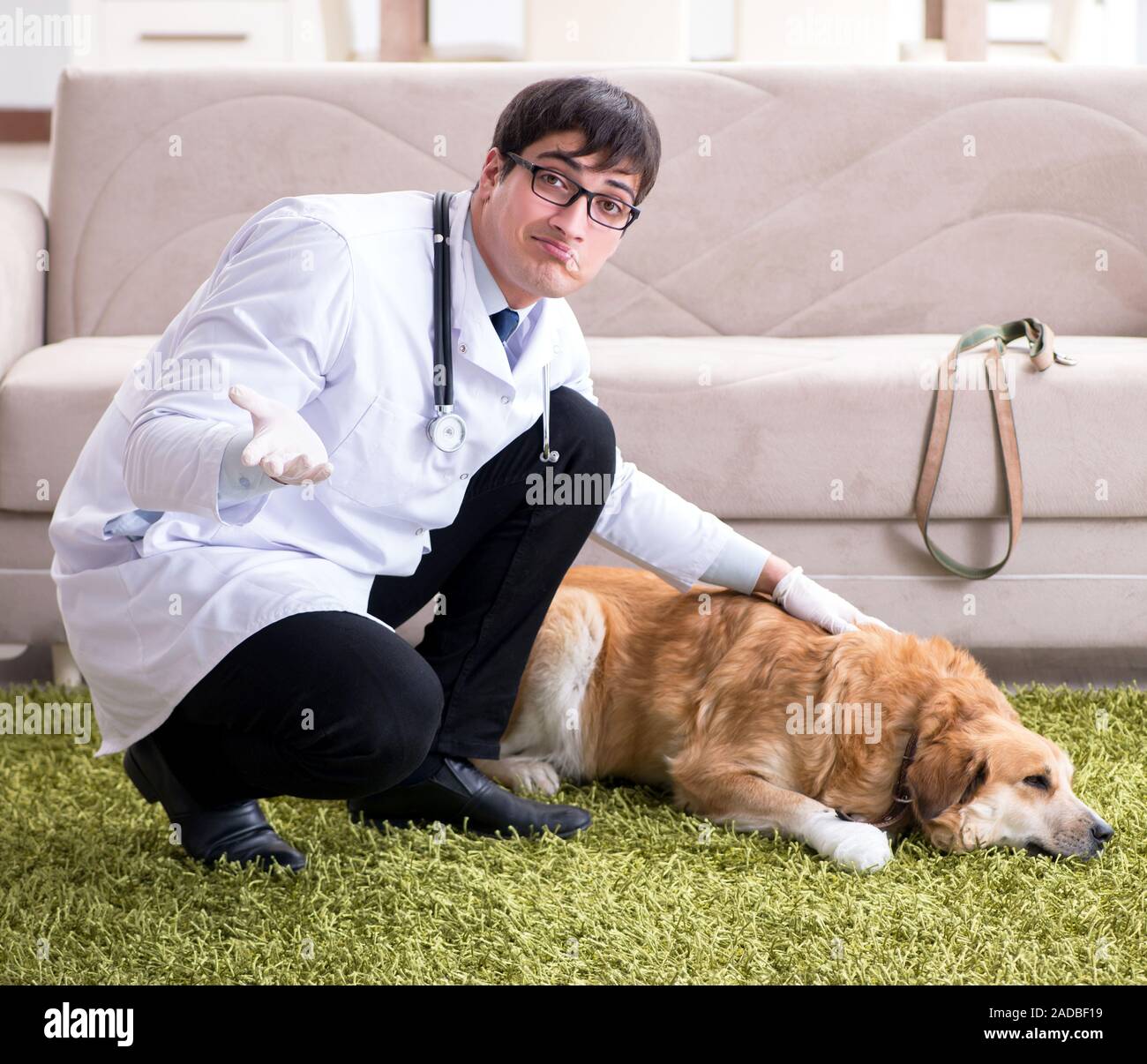 pet doctor home visit
