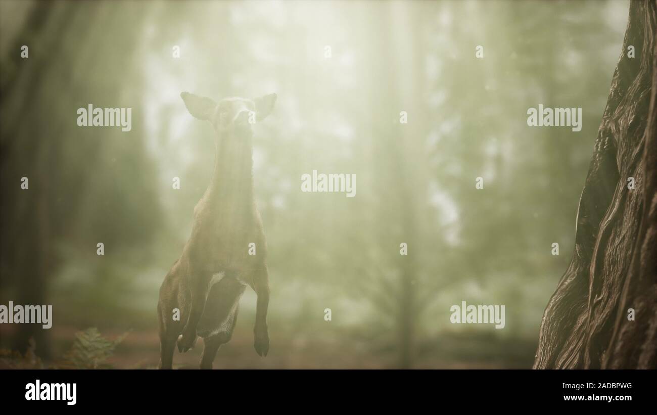 Slow motion close up male hi-res stock photography and images - Alamy
