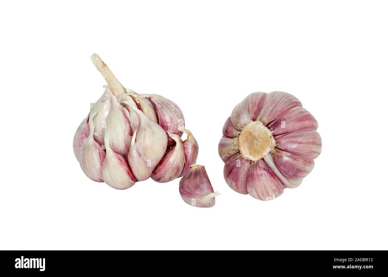 Garlic and cloves isolated on white background Stock Photo - Alamy