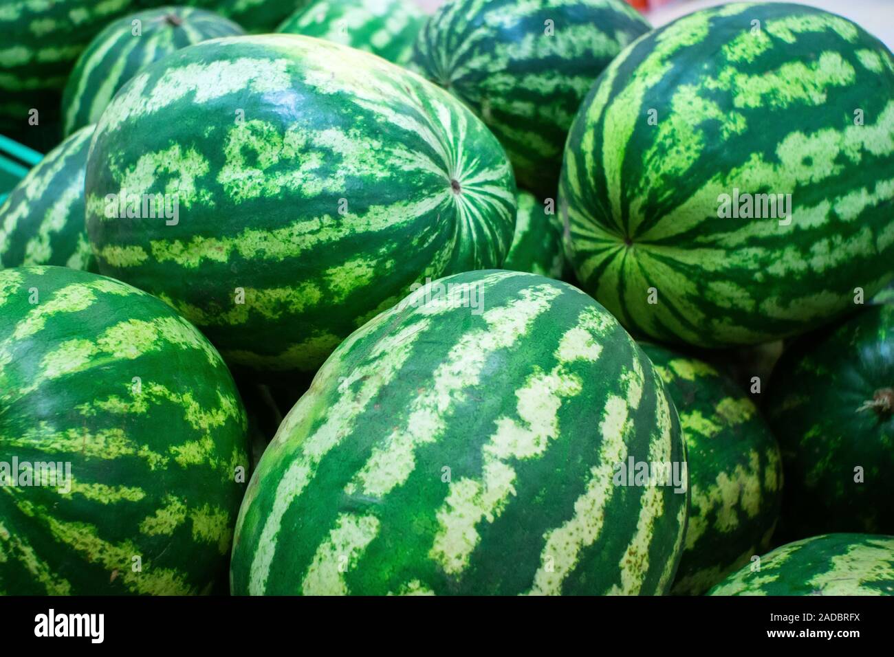 Close up of a pile of beautiful delicious green watermelons on the ...