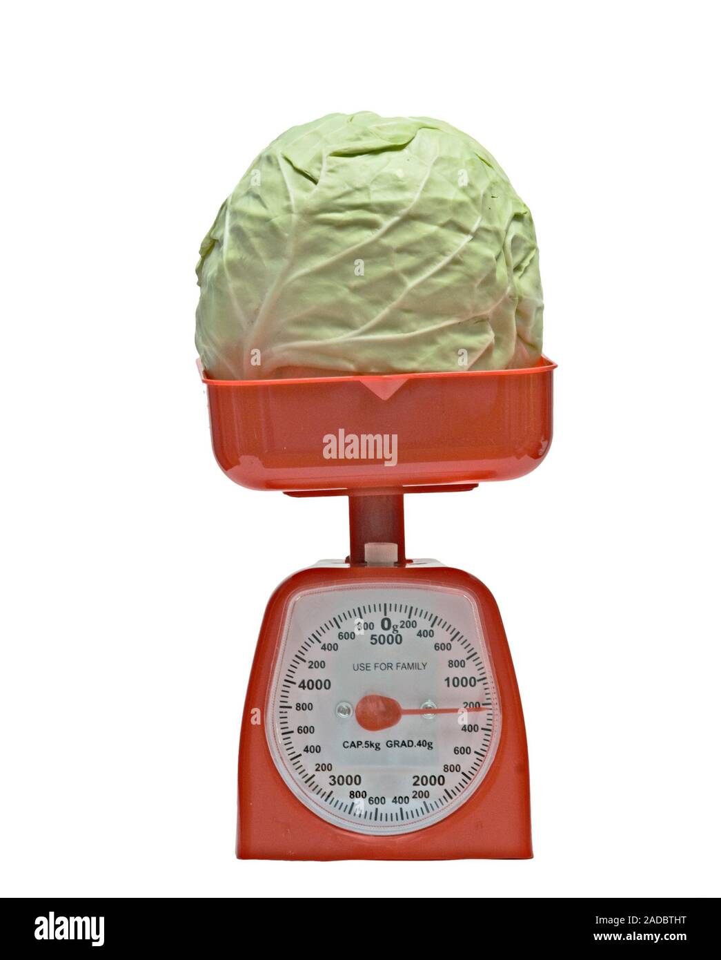 Beyond The Scale Discovering The Average Cabbage Weight - bcdv9gj