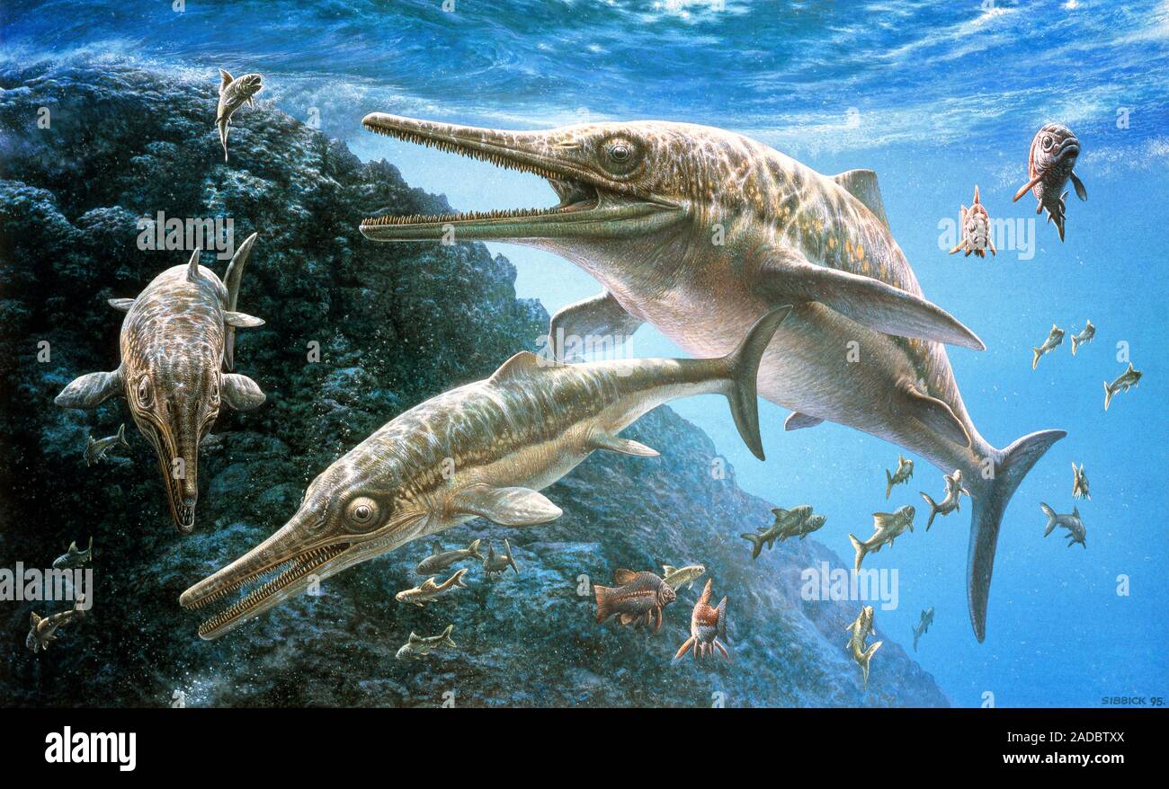 Морской ихтиозавр. Ихтиозавр мир Юрского периода. Ихтиозавр мезозой. Морские динозавры Ихтиозавр. Мезозойская Эра ихтиозавры.