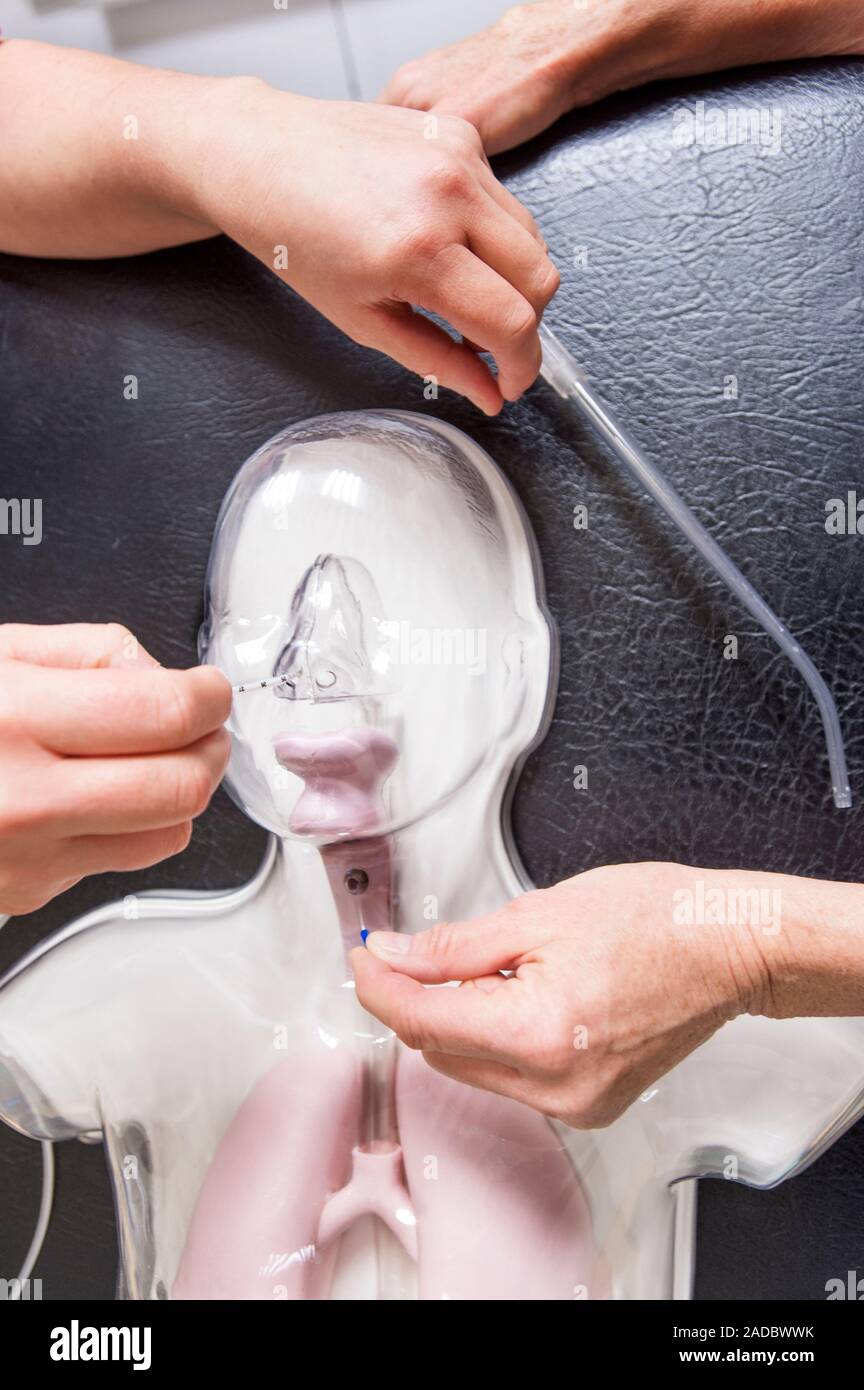 Nasogastric medical training. Closeup of equipment being used to train
