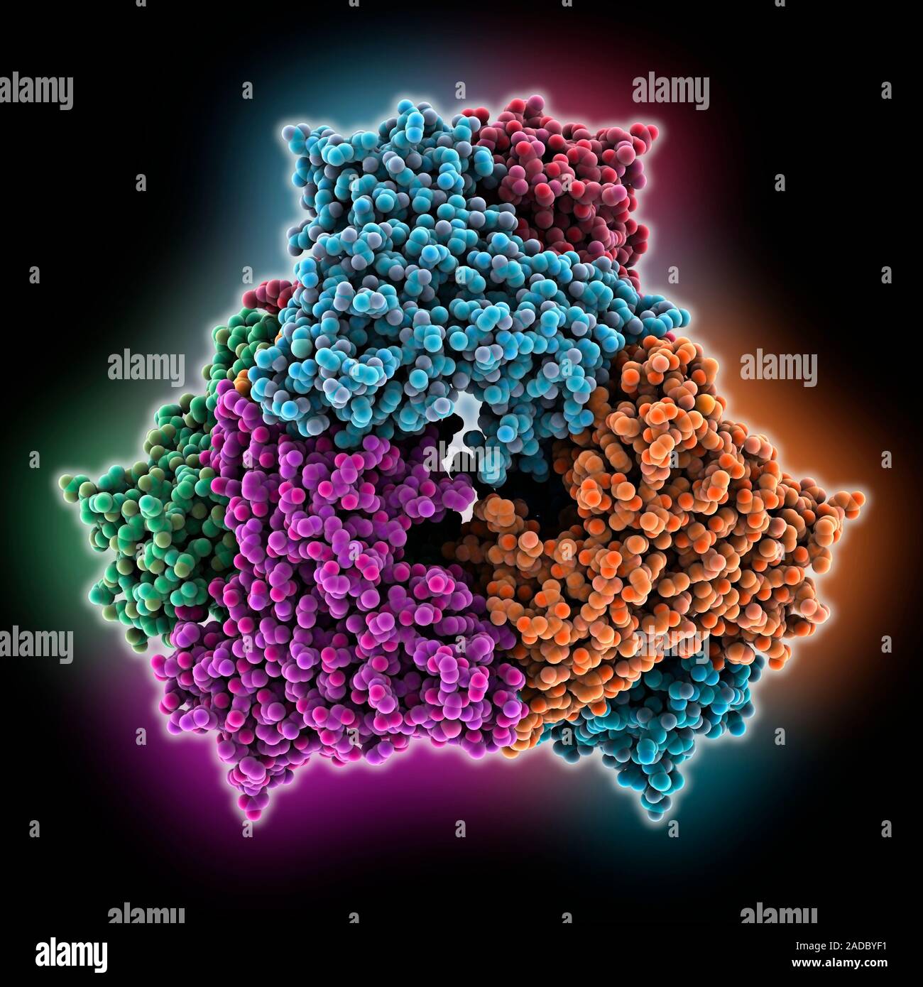 acetyltransferase-complex-computer-model-showing-the-structure-of