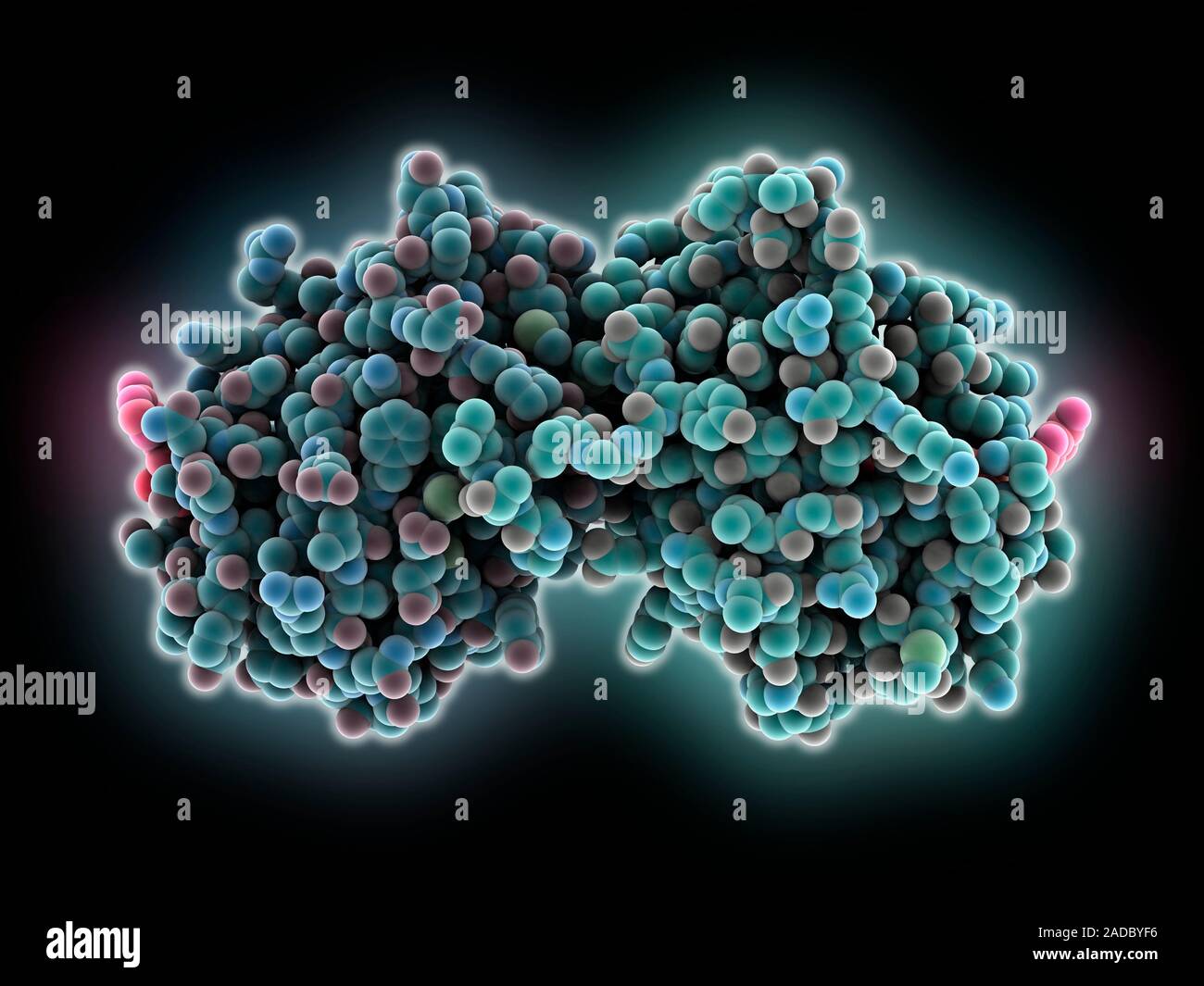 Light-activated blue-light sensor molecule. Computer model showing the ...